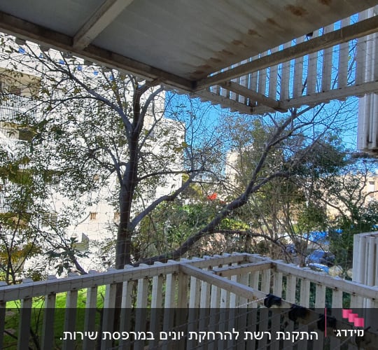 רשתות על מרפסת למניעת כניסת יונים